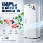 280 L Hard Door Vertical Freezer – White – image 10