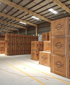 Deep freezer assembly line