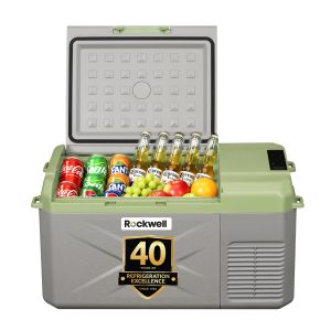 Portable Car Coler